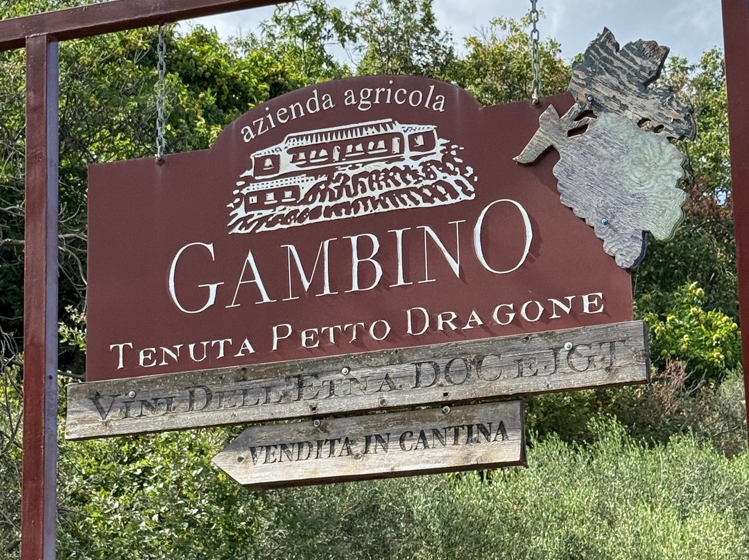 Sicily Blues Tours - Day Tours-阿格里真托必去景点