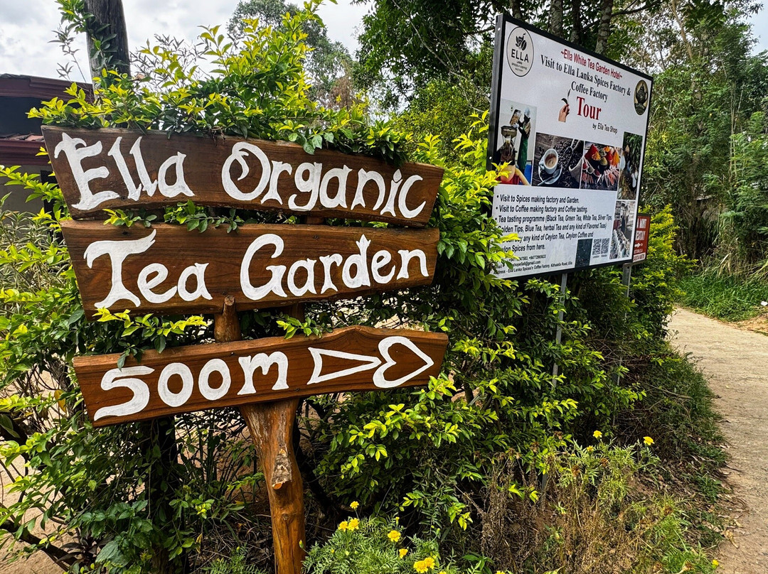 Ella Organic Tea Garden-Heeloya必去景点