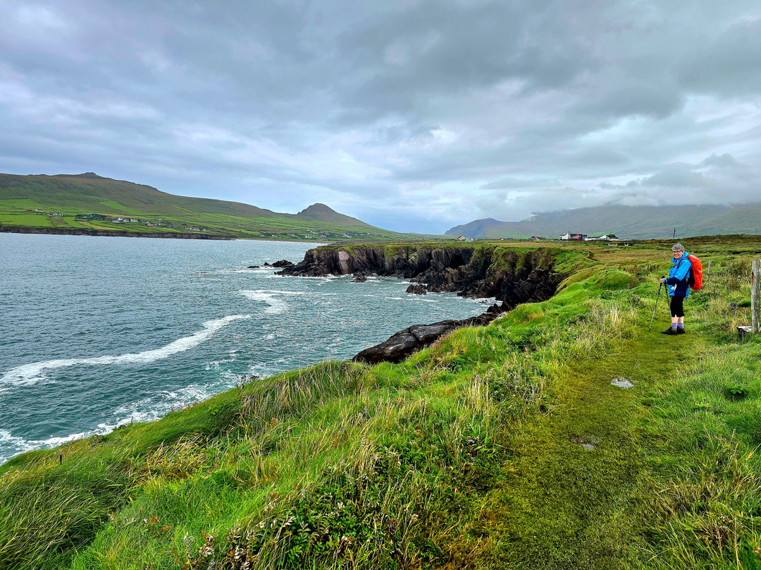 Wonderful Ireland Walking Tours-邓德拉姆必去景点