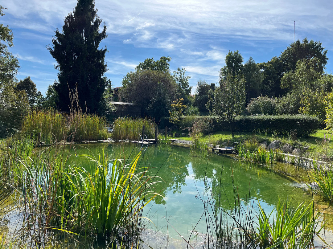 Cascina Rodiani - Green Hospitality主图