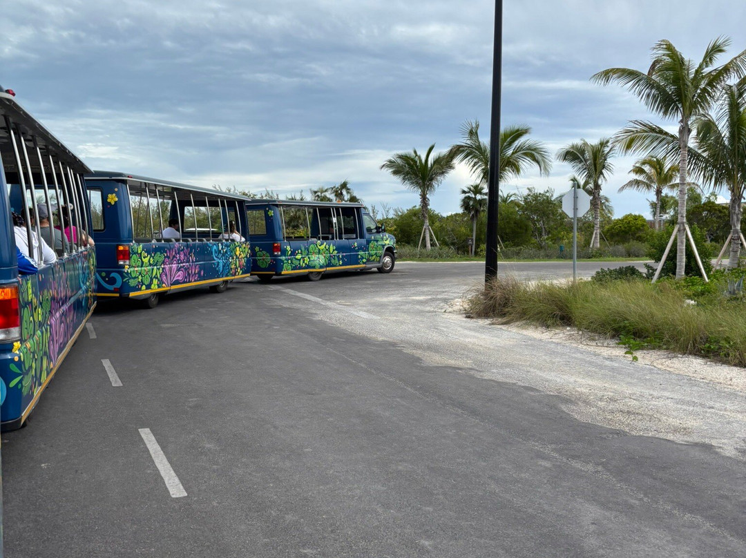 Disney Lookout Cay at Lighthouse Point-伊柳塞拉必去景点