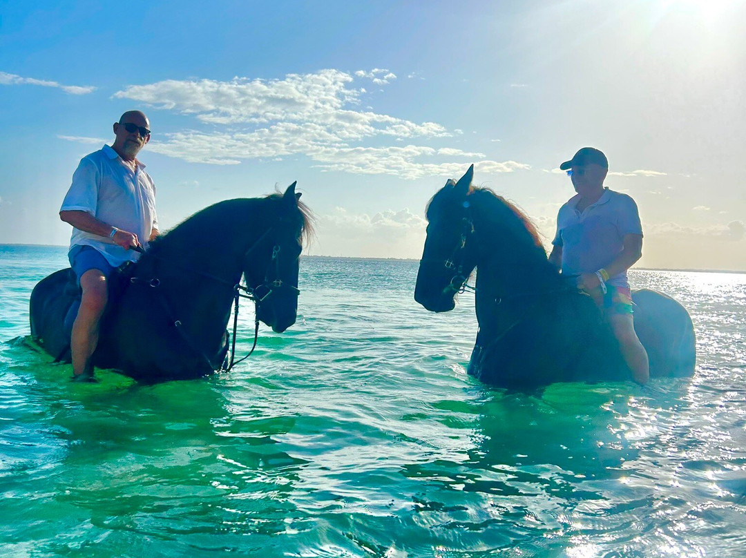 Royal Stable Zanzibar-米查维必去景点