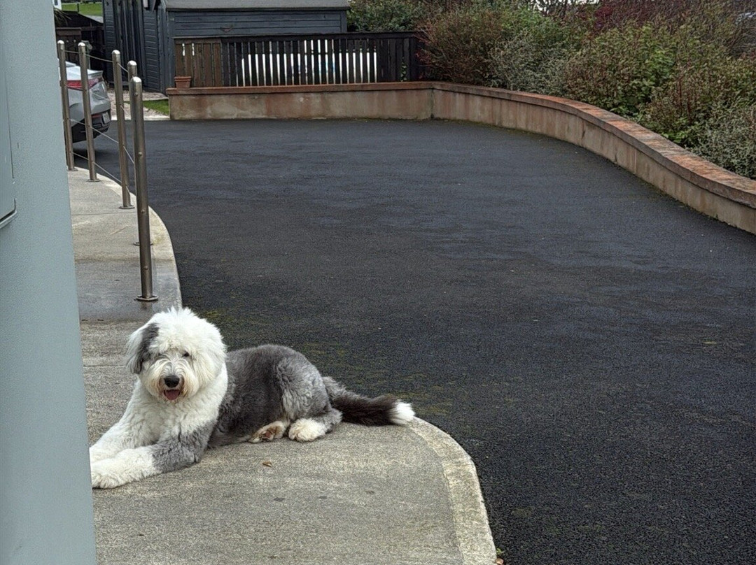 Sheedy's Hotel & Restaurant主图