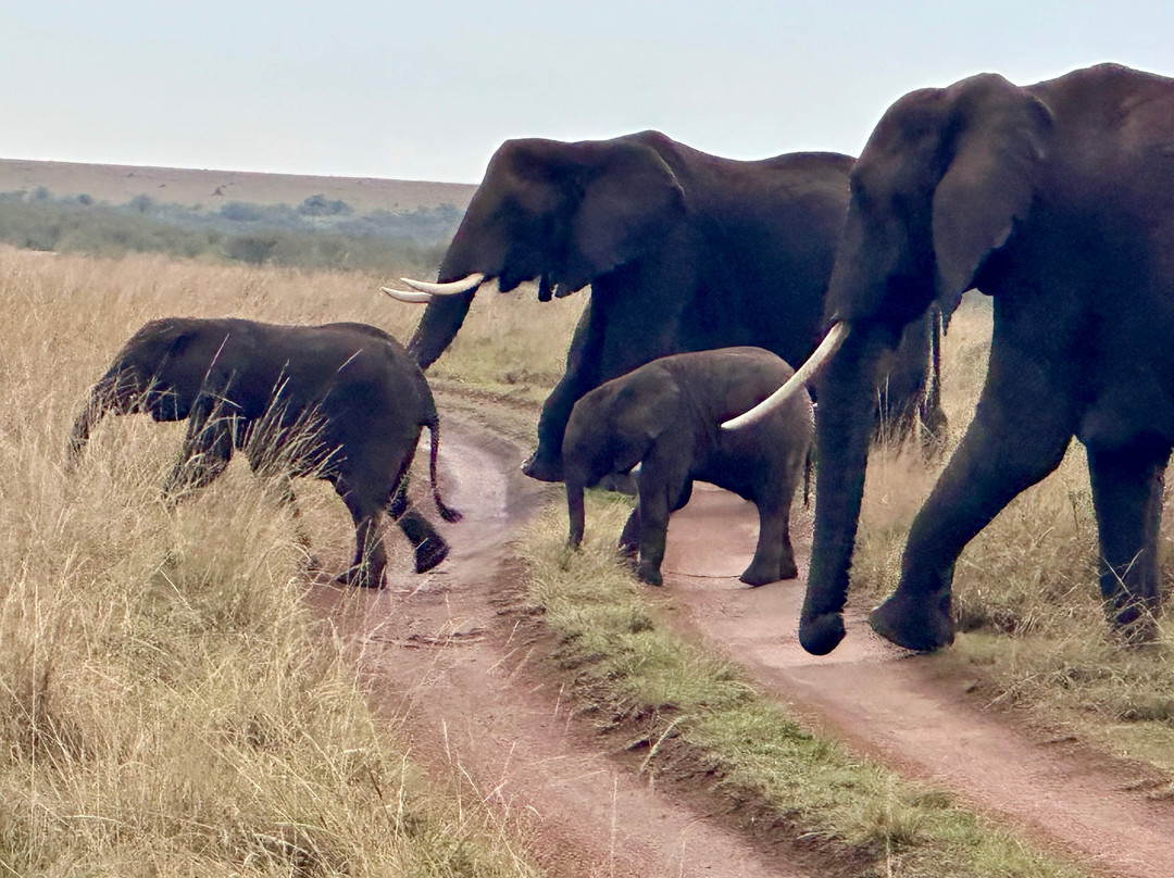 Adventure Out Loud-Kandanga必去景点