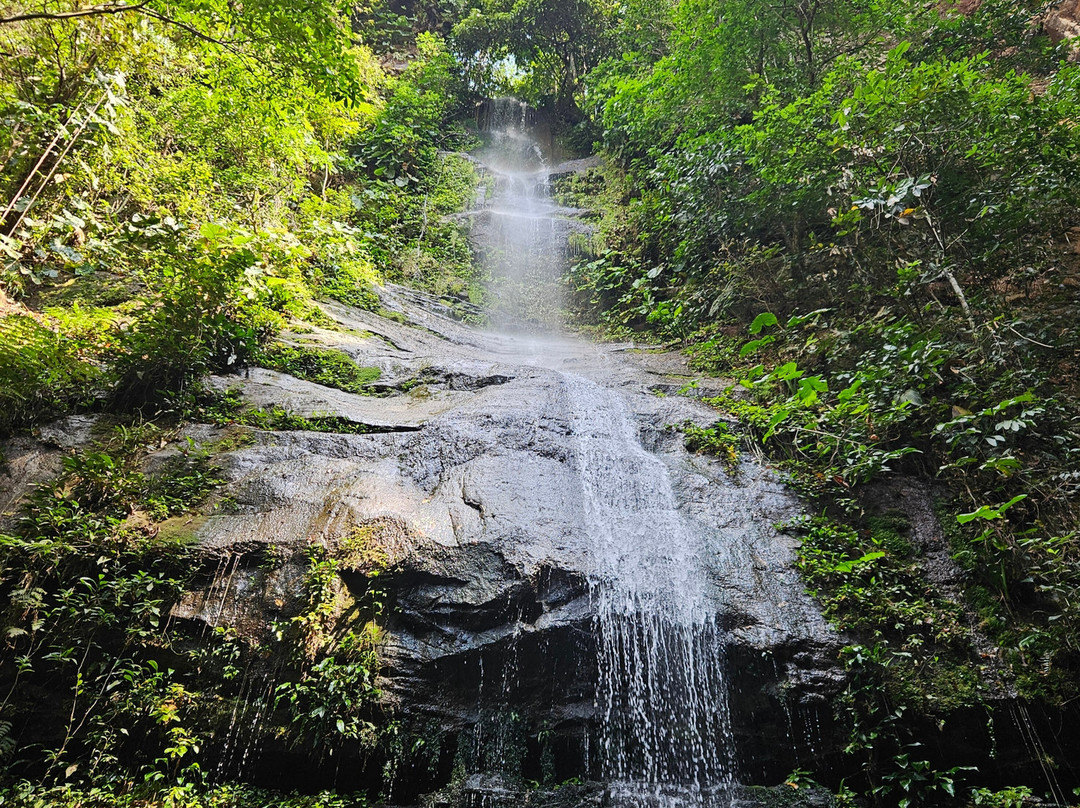 Jalapão Gaviões do Cerrado-Ponte Alta do Tocantins必去景点