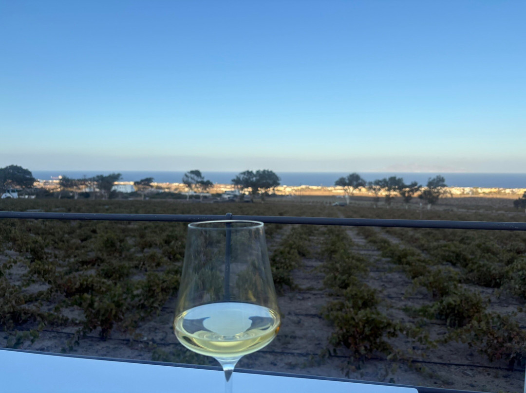 Estate Argyros-圣托里尼必去景点