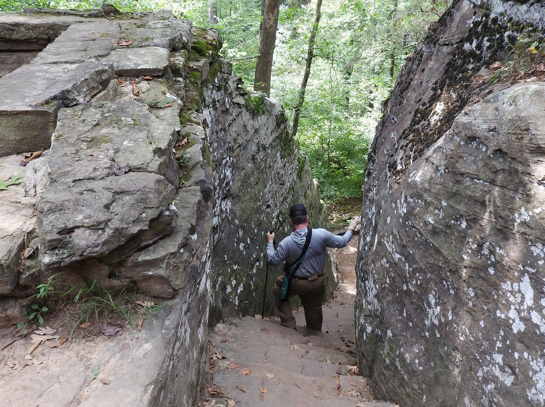 Bell Smith Springs-Ozark必去景点