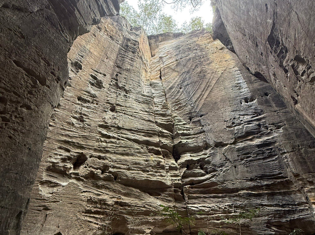Australian Nature Guides-Carnarvon National Park必去景点