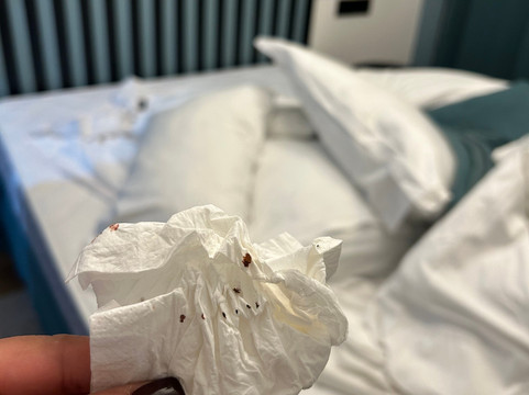 西奥特尔乐理查流酒店