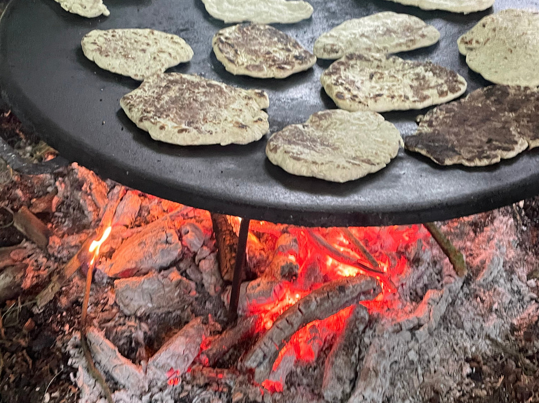 Back to Wilderness-Brandon必去景点