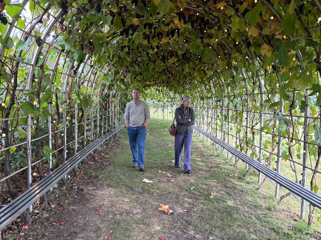 Lulu Island Winery-里士满必去景点