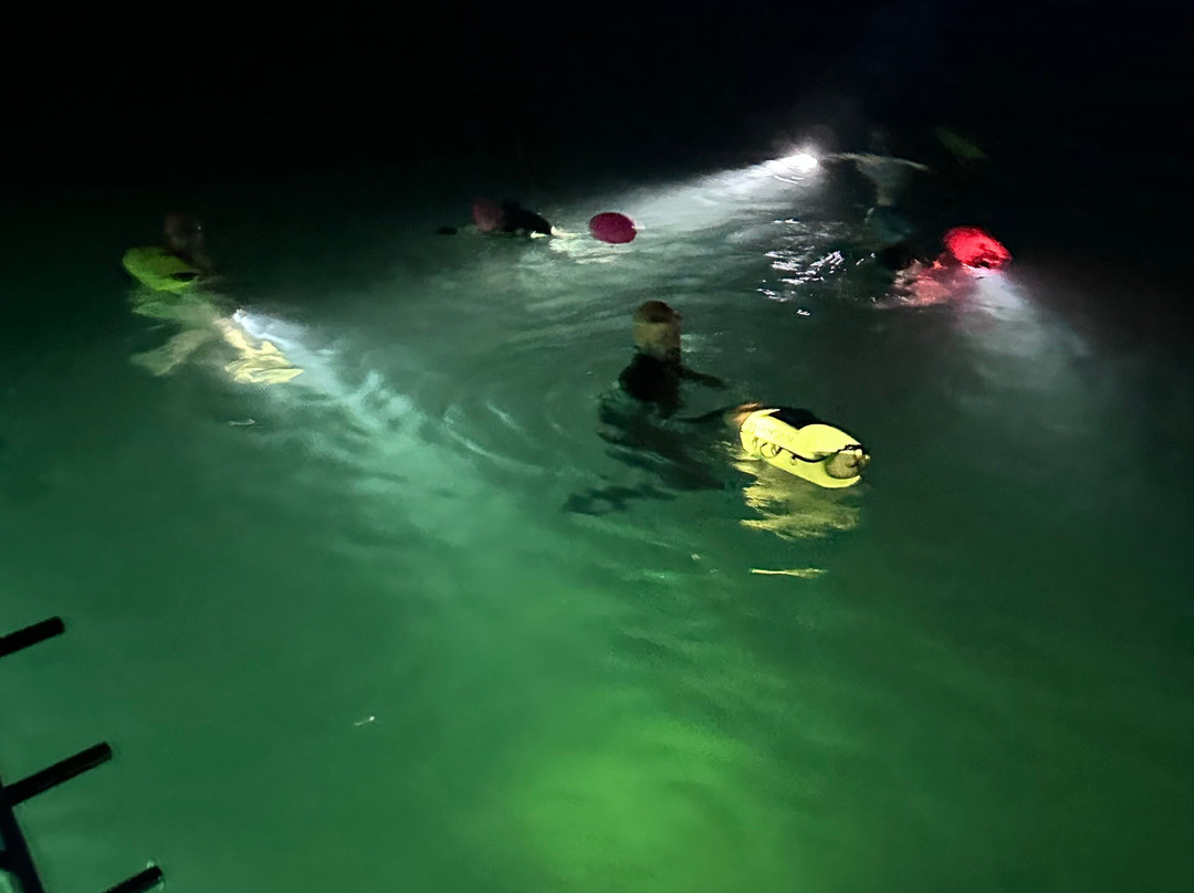Basking Shark Scotland-奥本必去景点