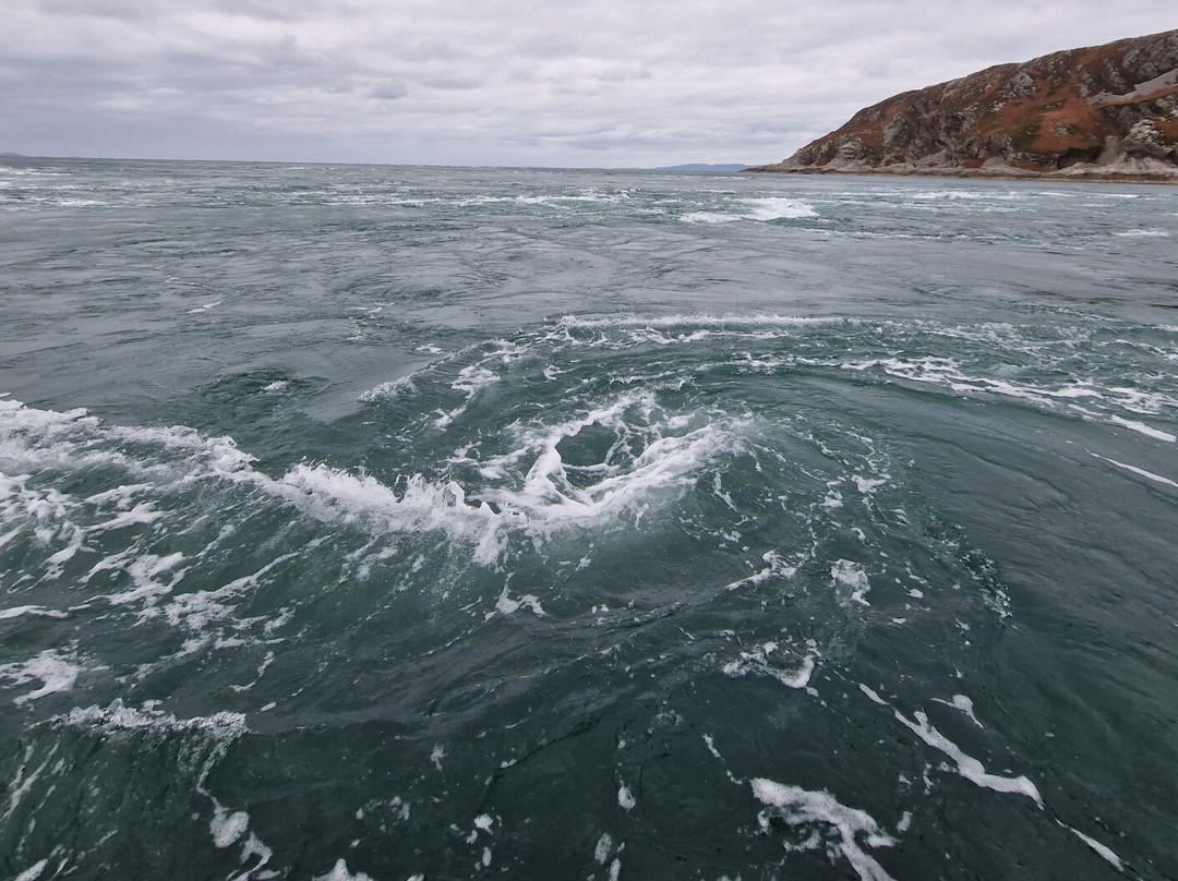Islay Sea Adventures-Port Ellen必去景点
