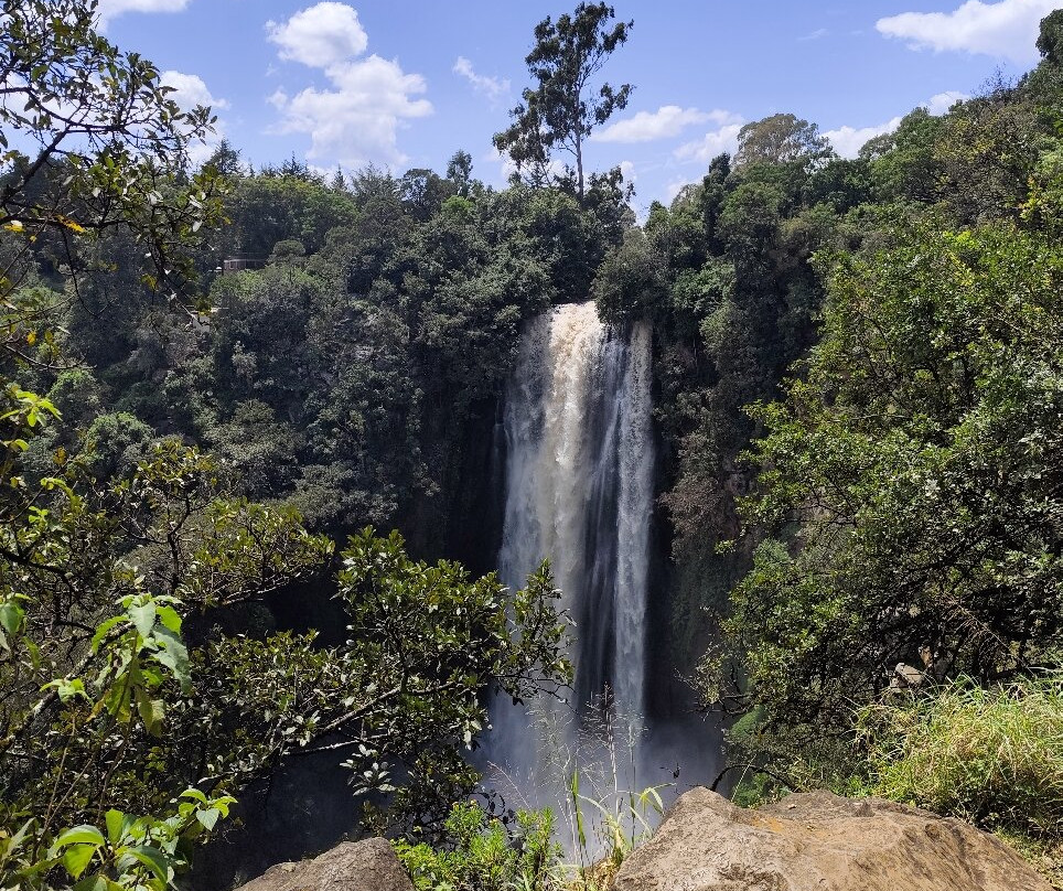 Thomson's Falls-阿伯德尔国家公园必去景点