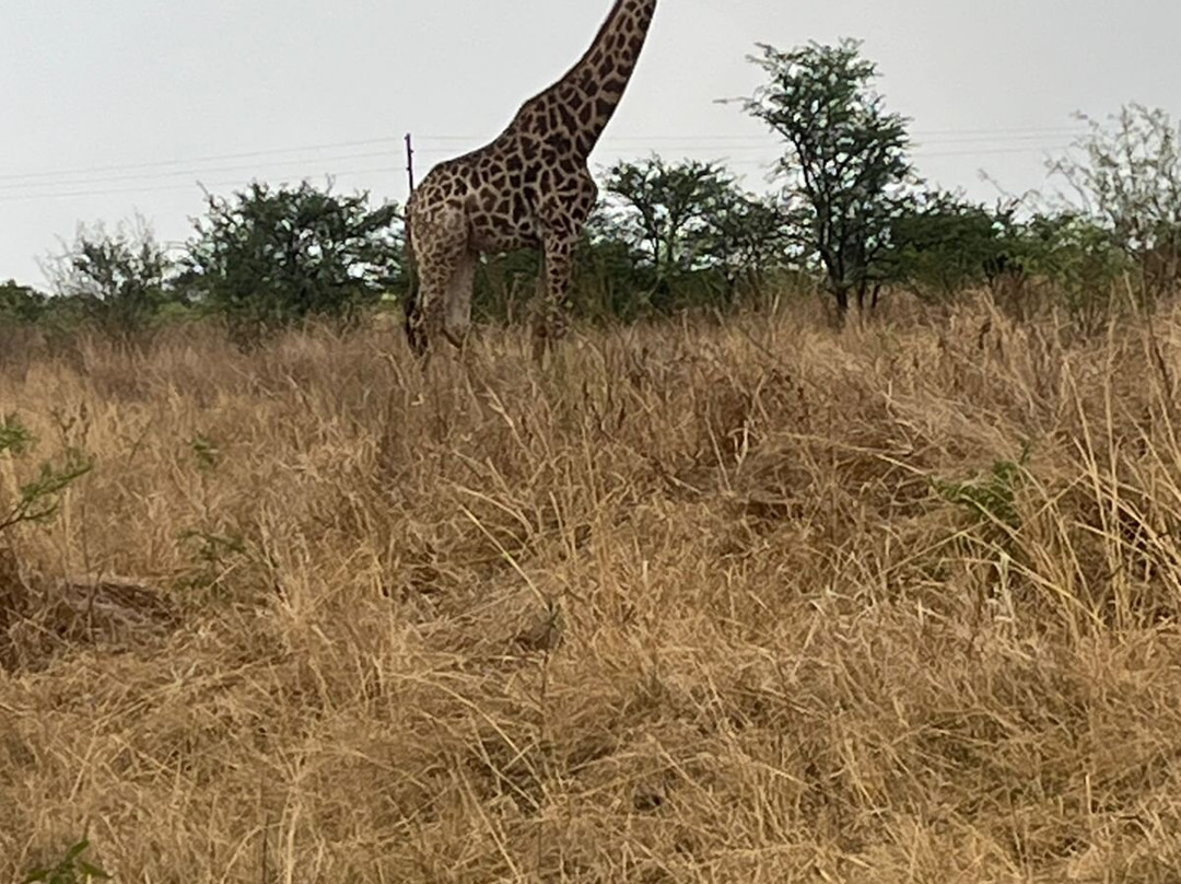 Cradle Moon-Muldersdrift必去景点