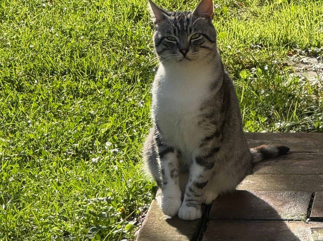 Agriturismo San Fabiano主图