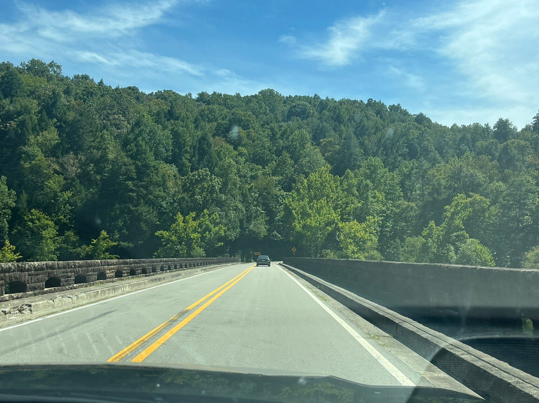 Daniel Boone National Forest-Winchester必去景点
