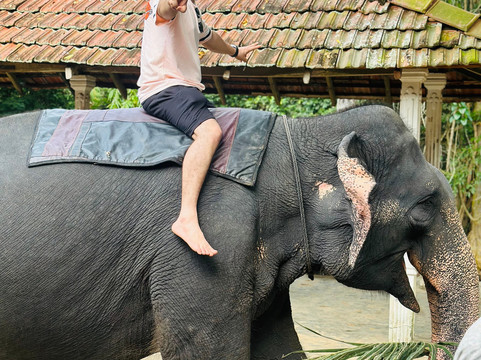 U Tours Lanka-卡图纳耶克必去景点