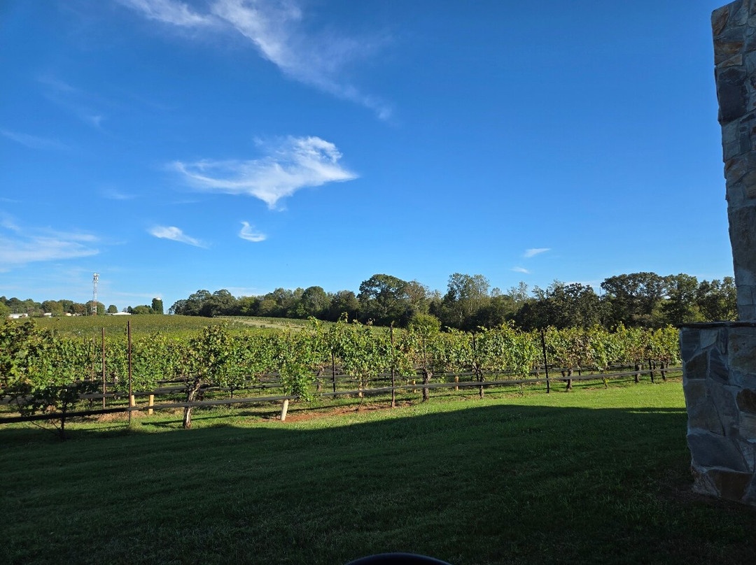 Rayson Winery and Vineyards-Mocksville必去景点