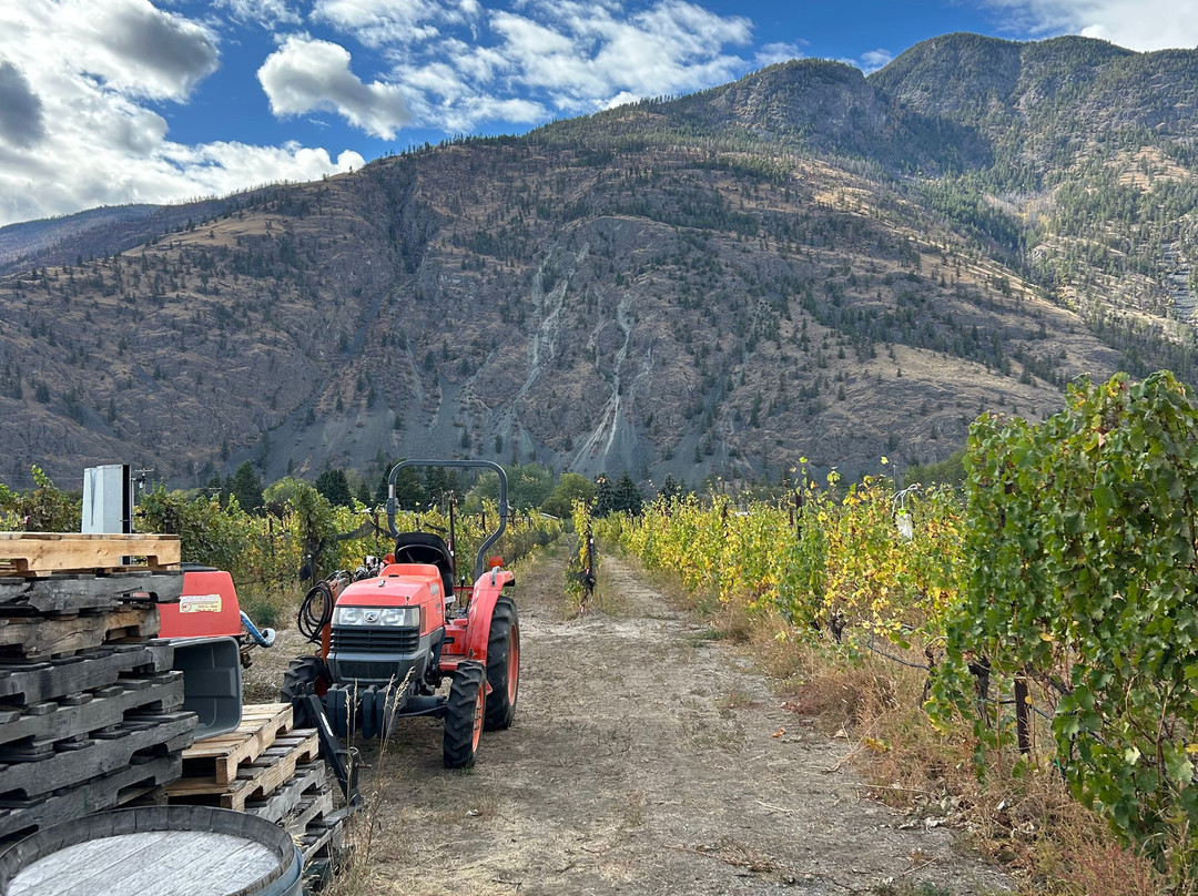 Little Farm Winery-Cawston必去景点