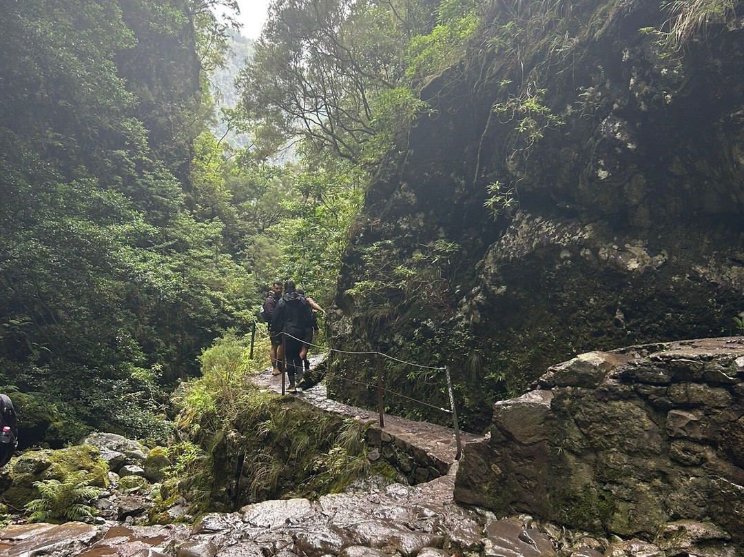 Parque Florestal das Queimadas-Santana必去景点
