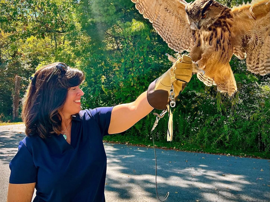 The Greenbrier Falconry-White Sulphur Springs必去景点