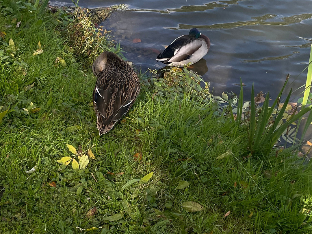 Painshill-科巴姆必去景点