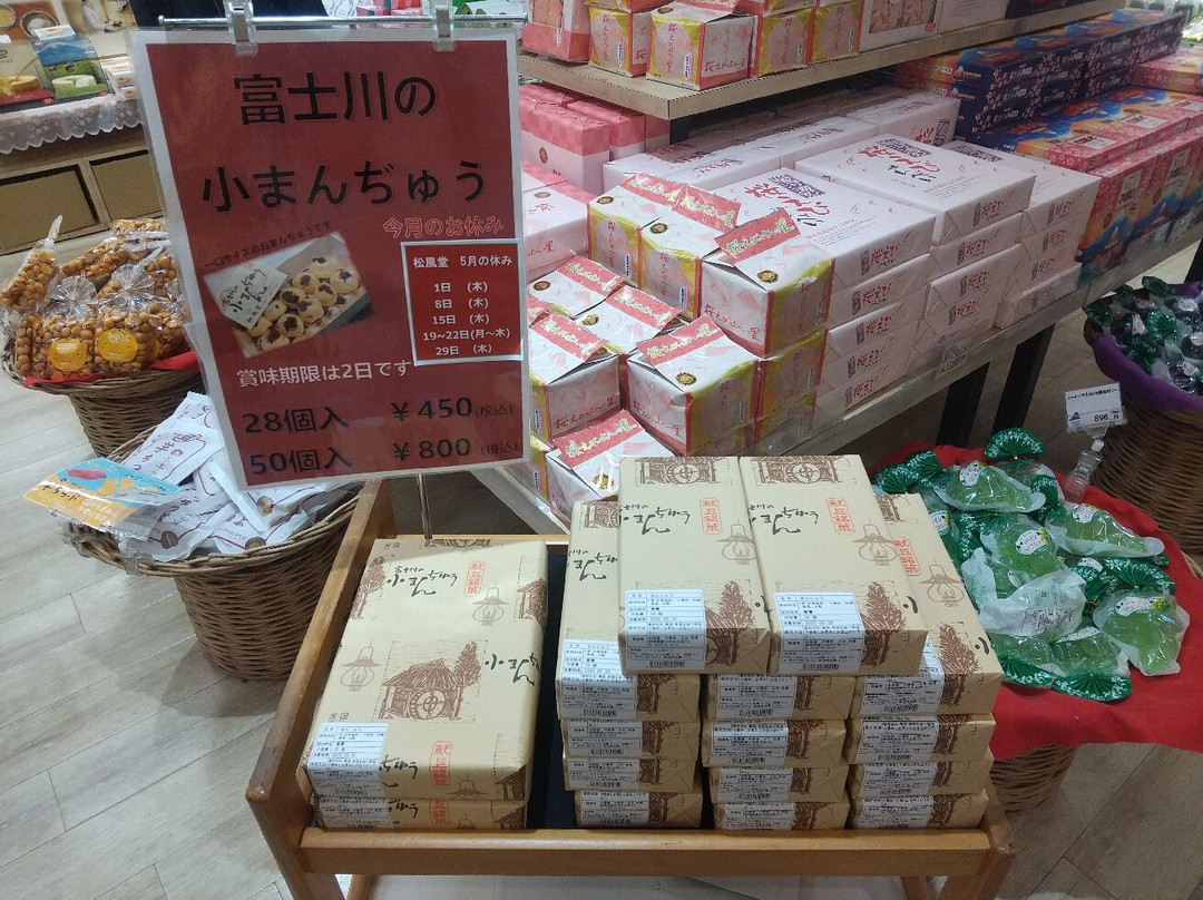 富士川服务区 下行线-富士市必去景点