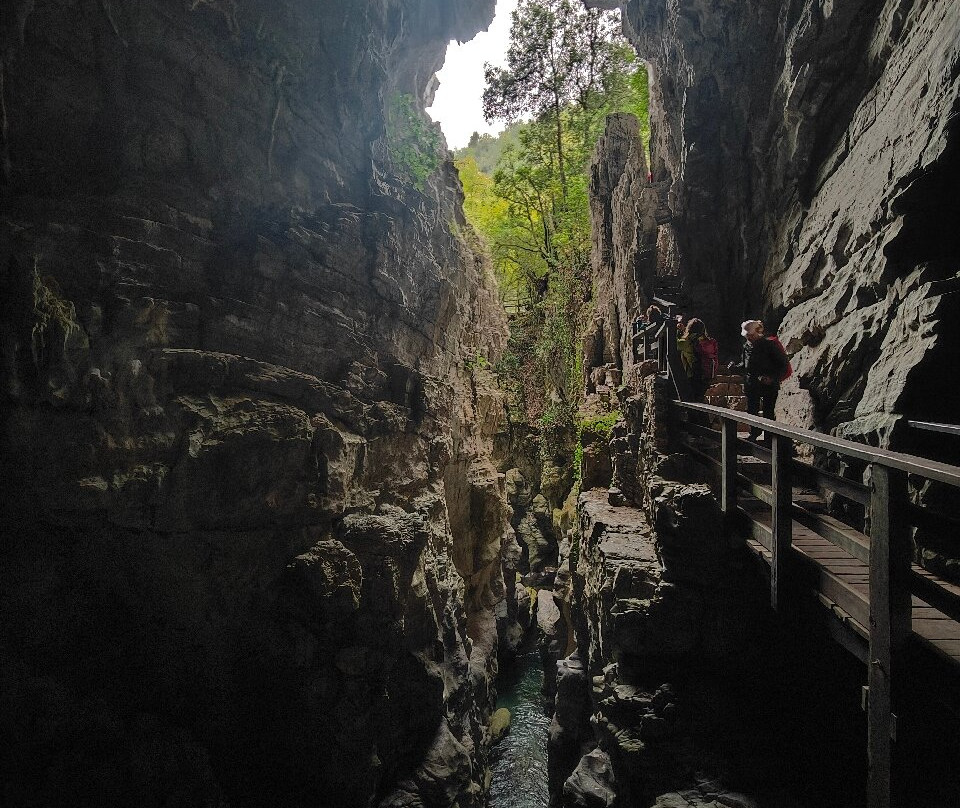 Oasi WWF Grotte del Bussento-Morigerati必去景点