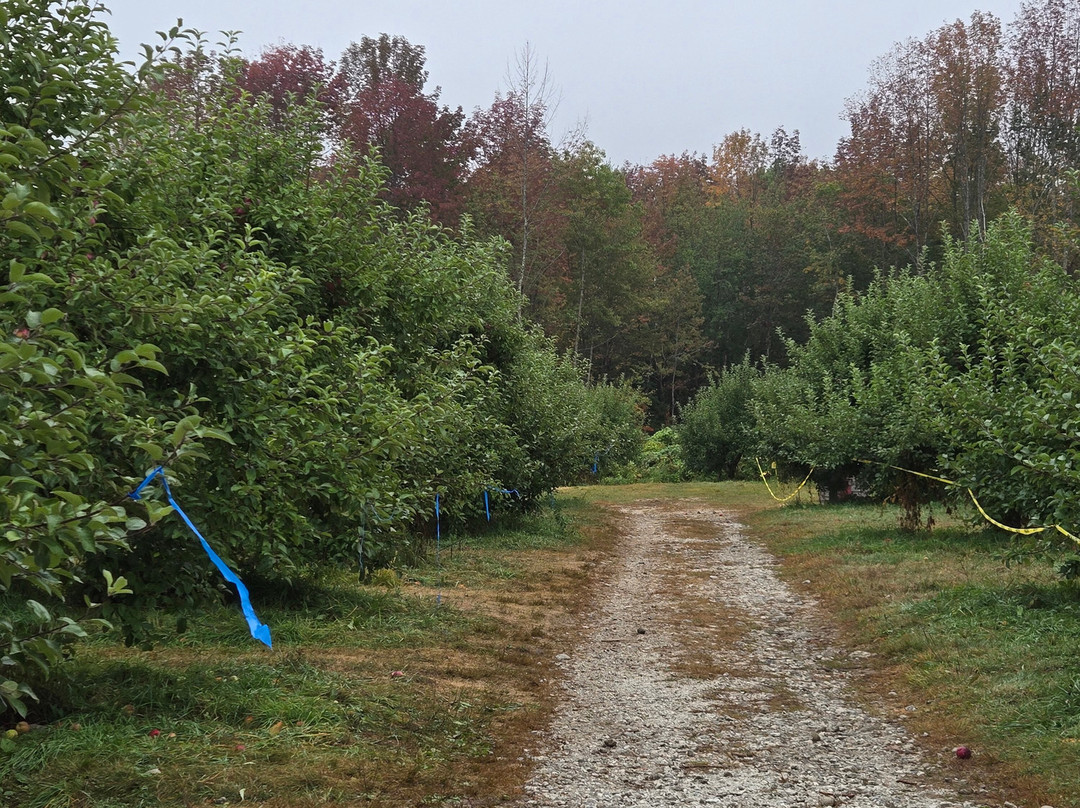 Thompson's Orchards-New Gloucester必去景点