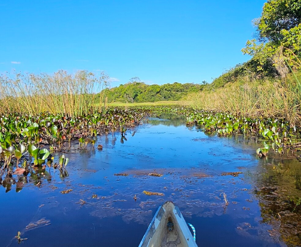 Fazenda Marimbus-迪亚曼蒂那国家公园必去景点