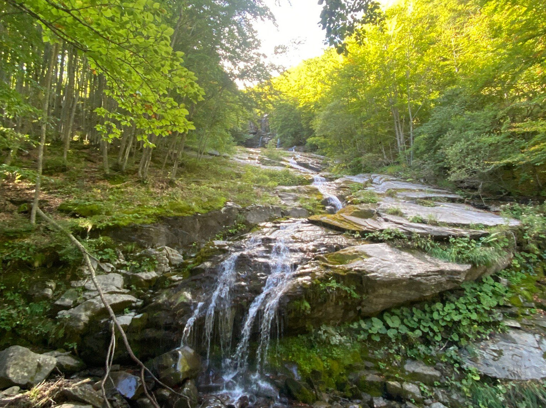 Cascate del Doccione-Fellicarolo必去景点