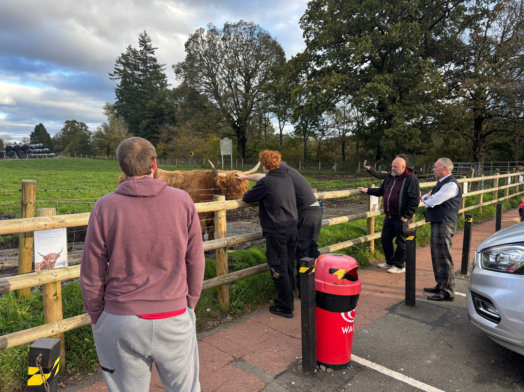 Scottish Terrier Tours-Wemyss Bay必去景点