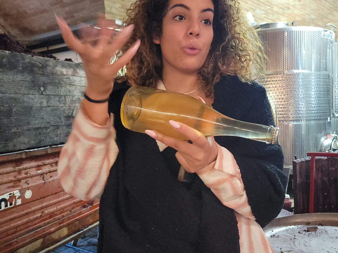 Poderi Arcangelo Winery-圣吉米尼亚诺必去景点
