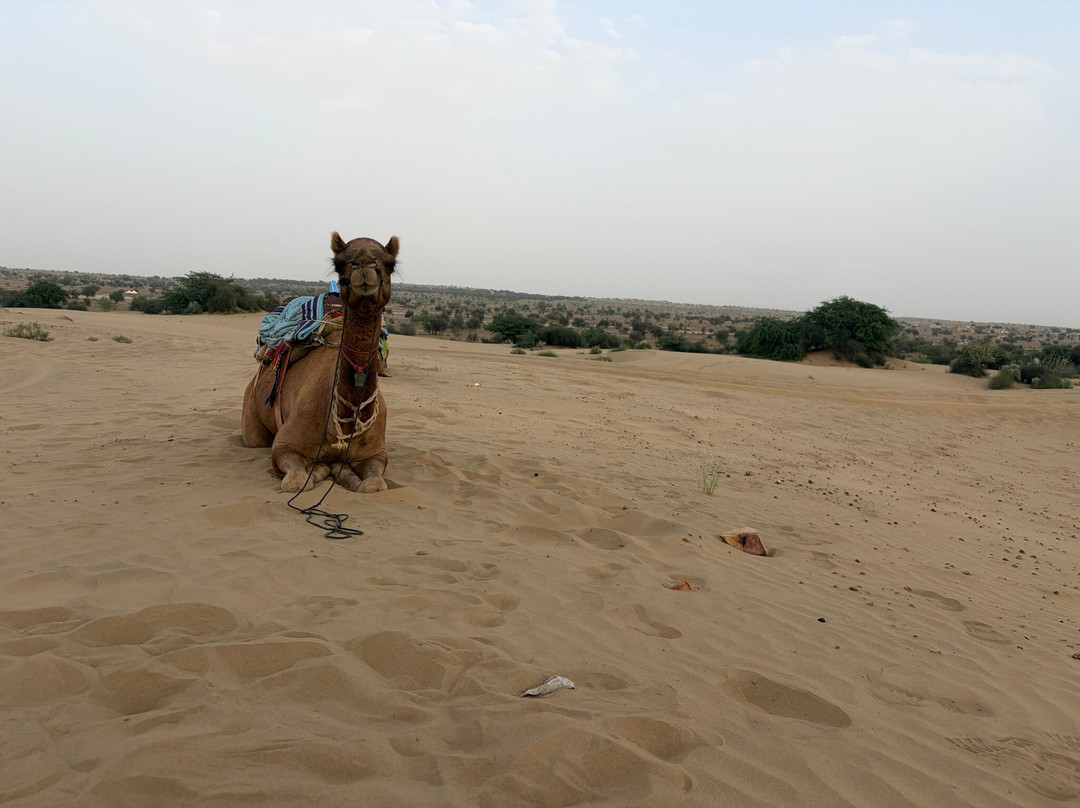 Mangalam Resorts主图