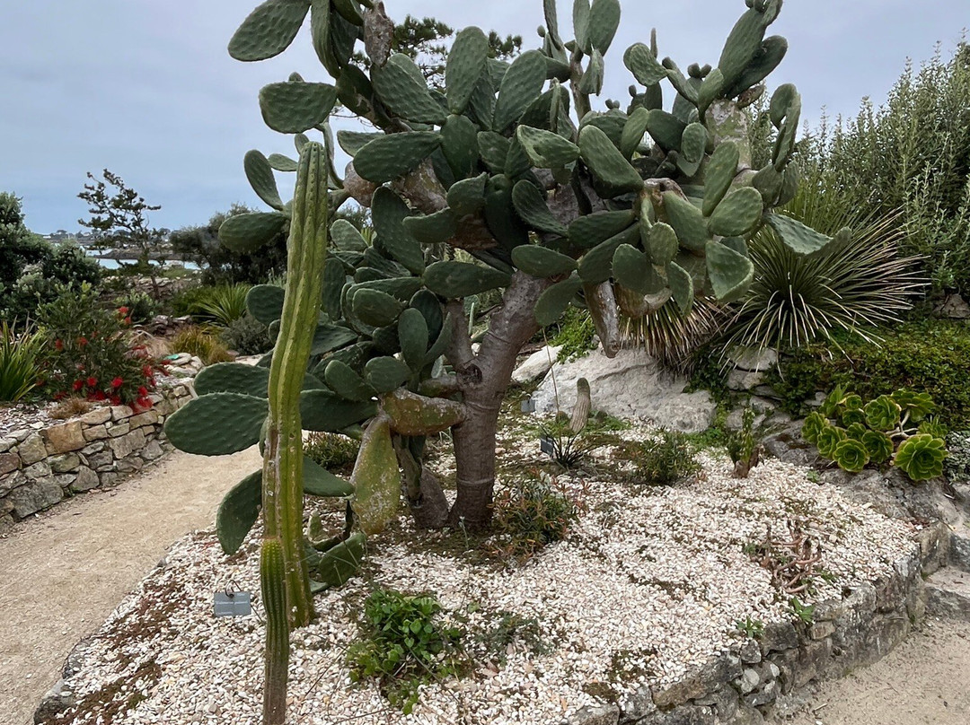 Jardin Georges Delaselle-Ile-de-Batz必去景点