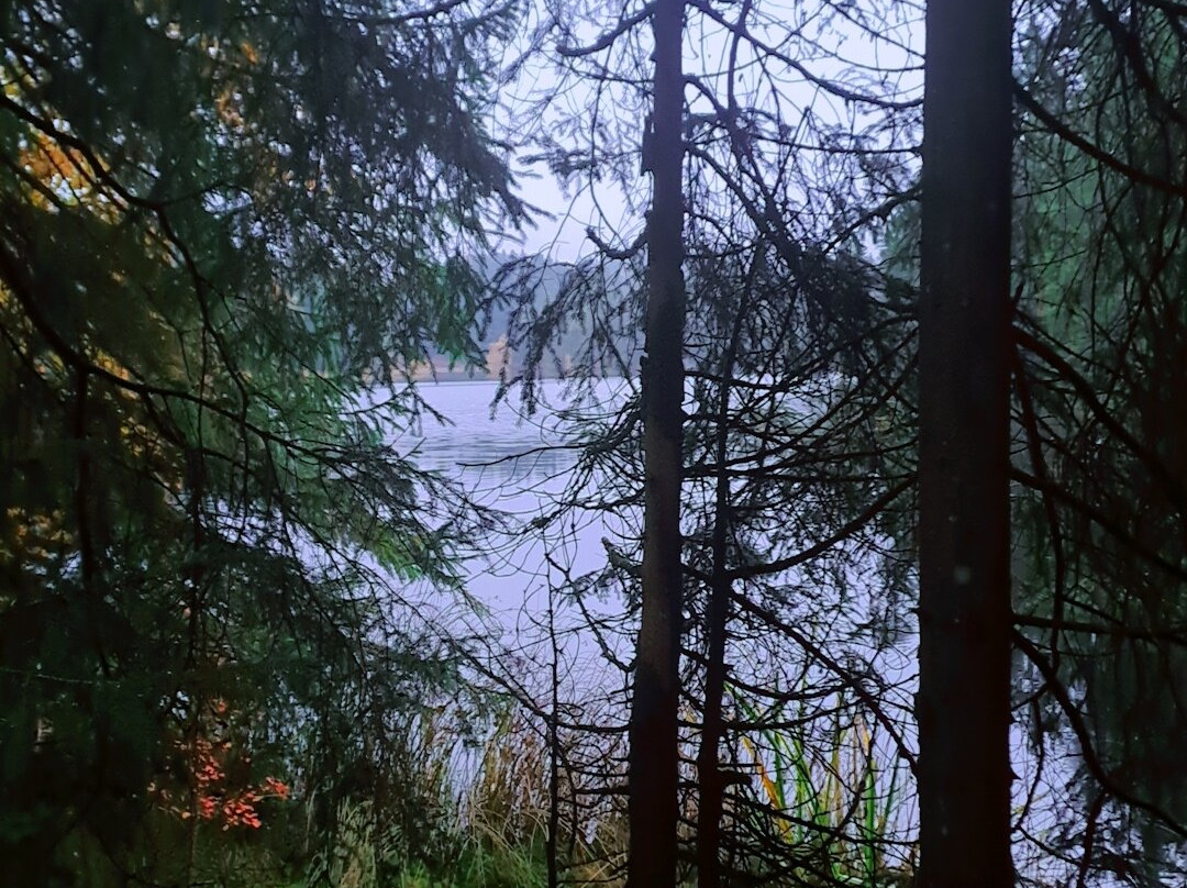 Etang de la Gruère-Saignelégier必去景点