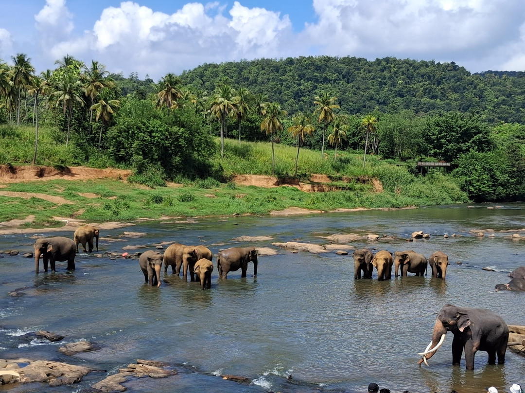 See Lanka Travels-Waikkal必去景点