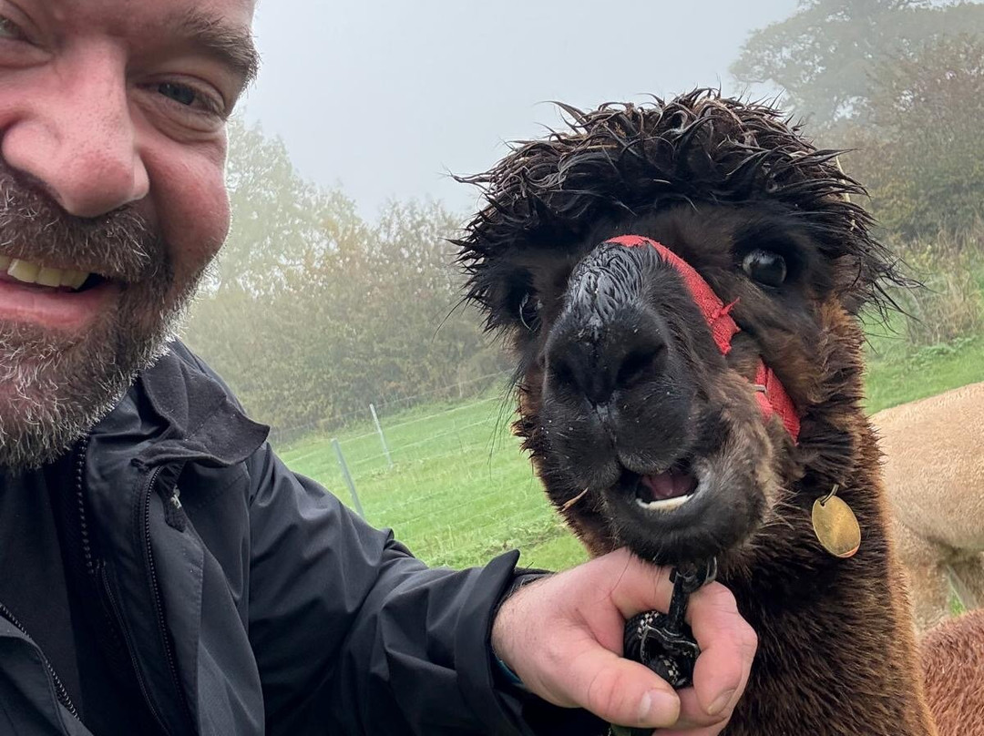 Charnwood Forest Alpacas-Boundary必去景点