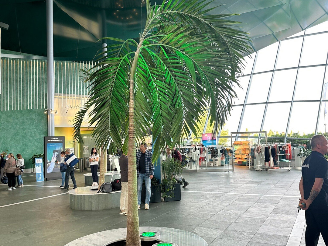 Thermen & Badewelt Sinsheim-辛斯海姆必去景点