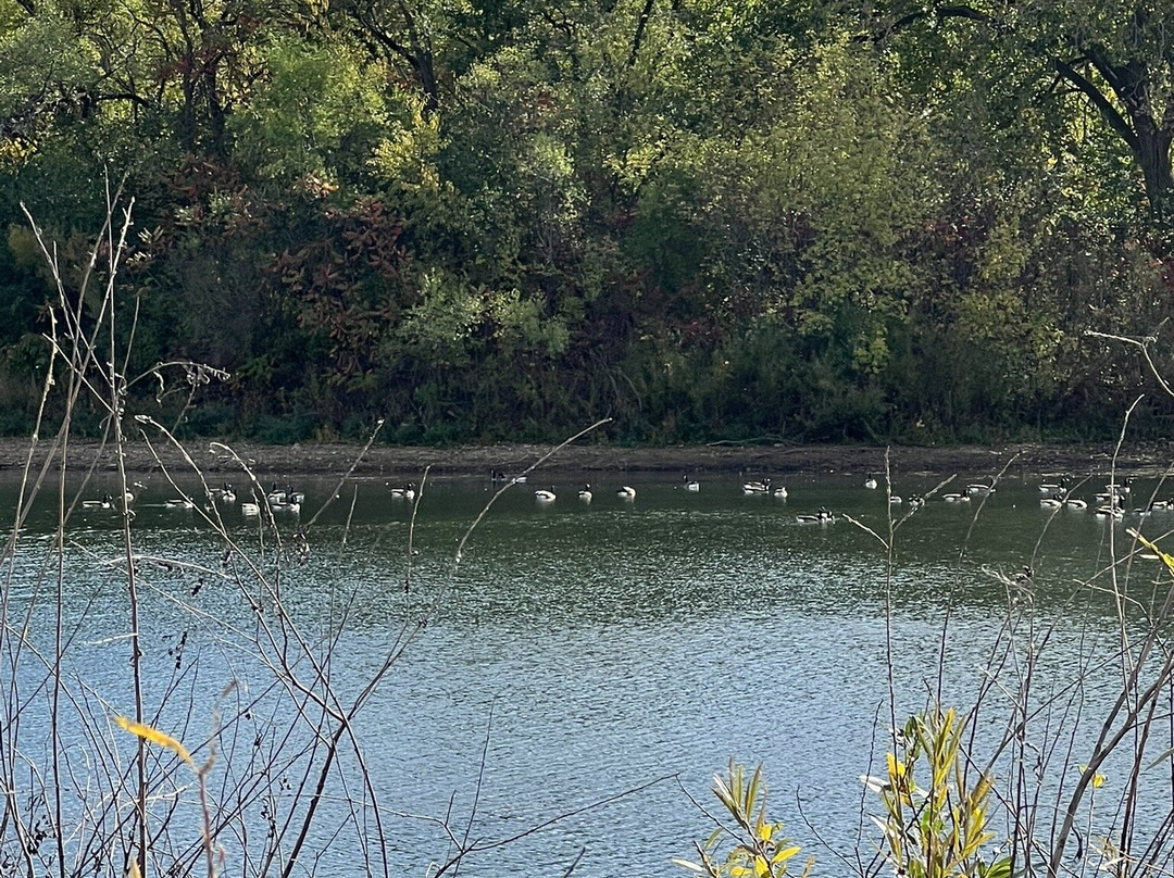 Van Patten Woods Forest Preserve-Wadsworth必去景点