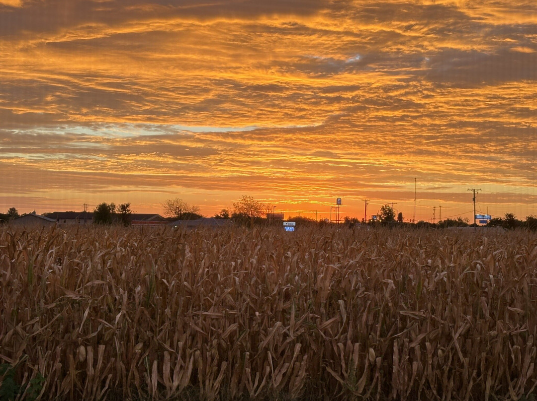 Best Western Pontiac Inn主图