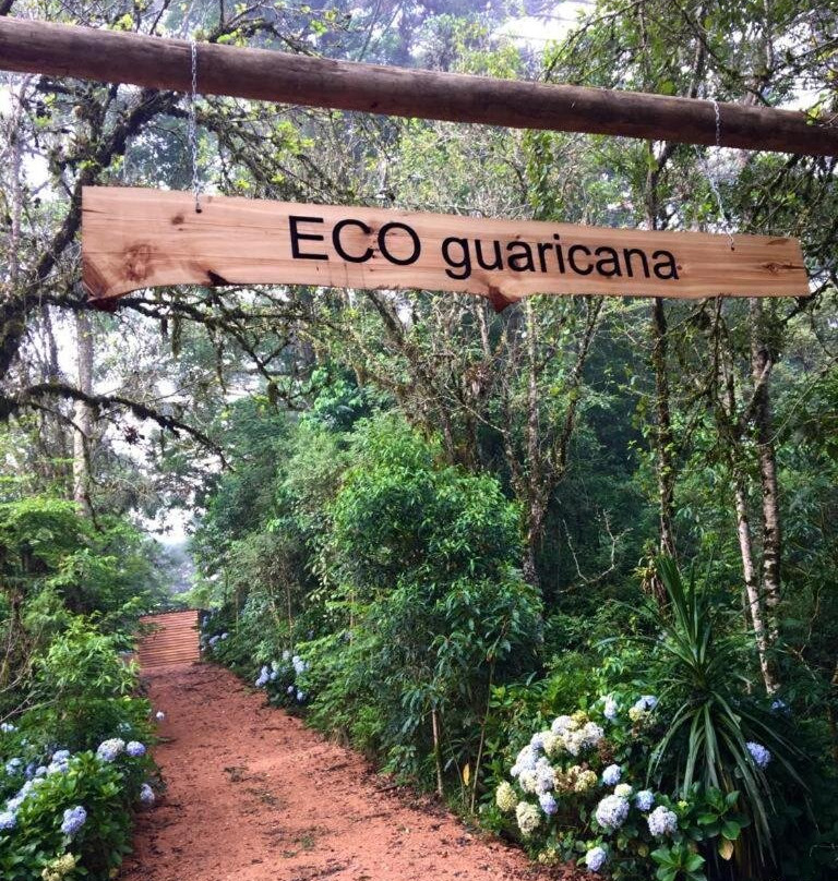 Bosque Conteiner Eco Guaricana