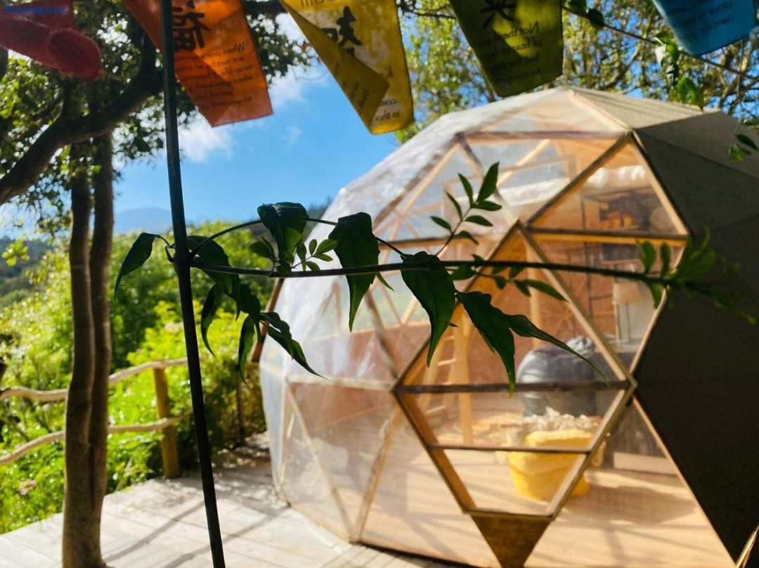 Eco-resort Domo Maestra