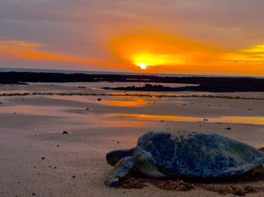 Ecotours Senegal-达喀尔必去景点