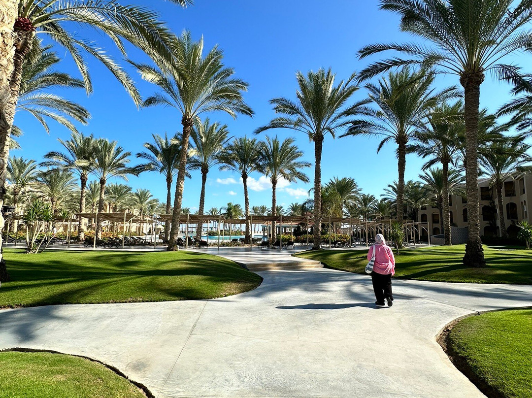 Almaza Bay-Mersa Matruh必去景点