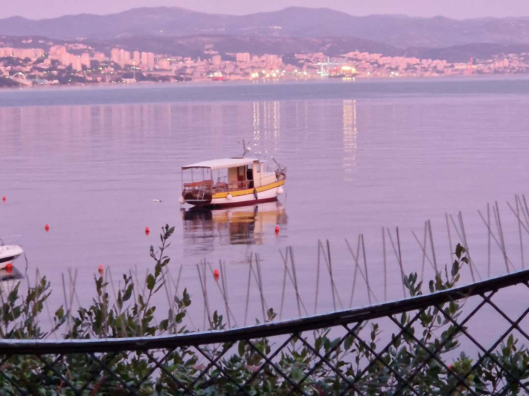 欧帕缇斯卡西维杰塔四世大酒店主图