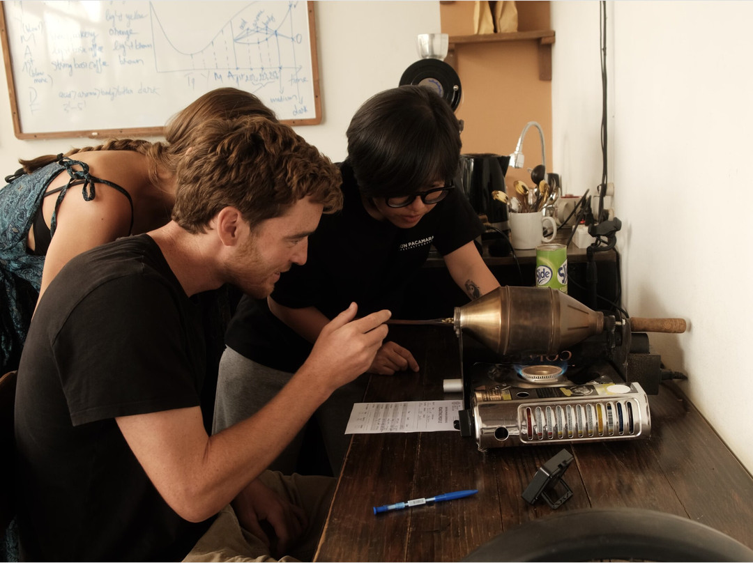 Son Pacamara Coffee Farm Experience-大勒必去景点