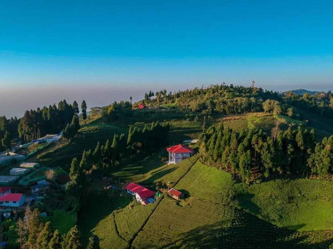 The Ridge Homestay