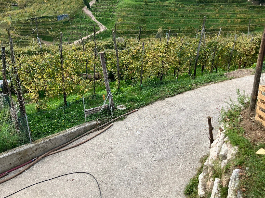 Azienda Agricola Follador Francesco-Valdobbiadene必去景点